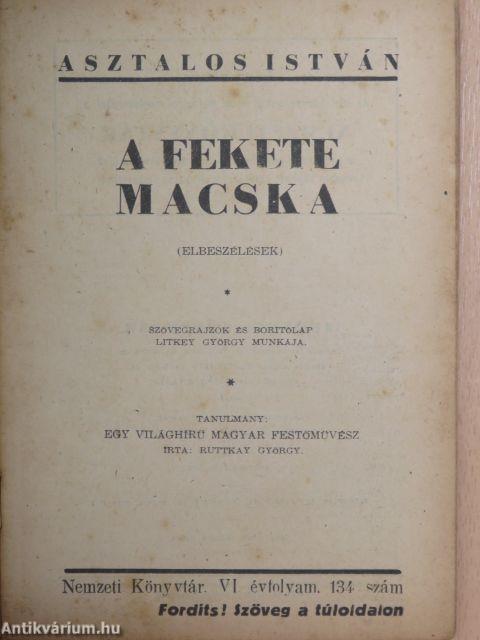 A fekete macska/Tanulmány: Egy világhírű magyar festőművész