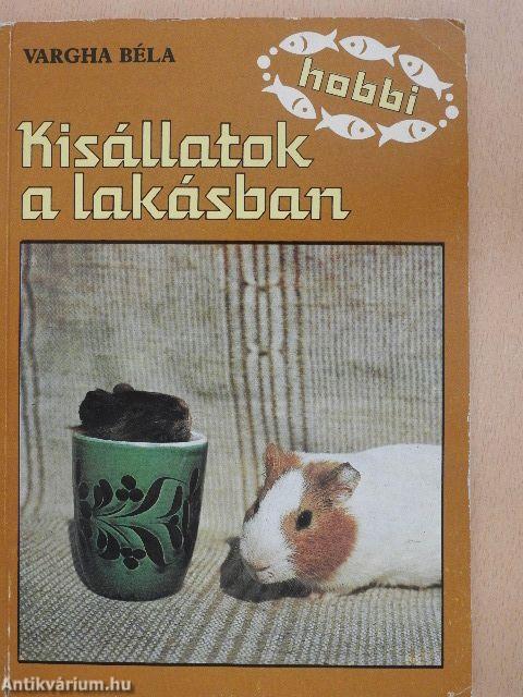 Kisállatok a lakásban