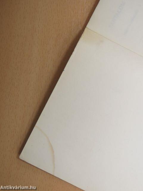 Autóval, motorral külföldre