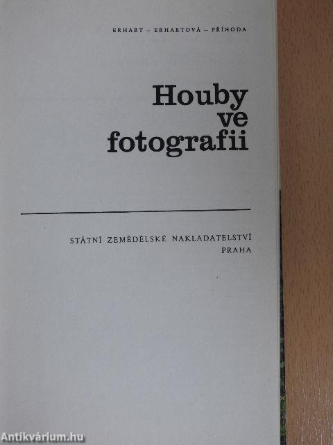 Houby ve fotografii
