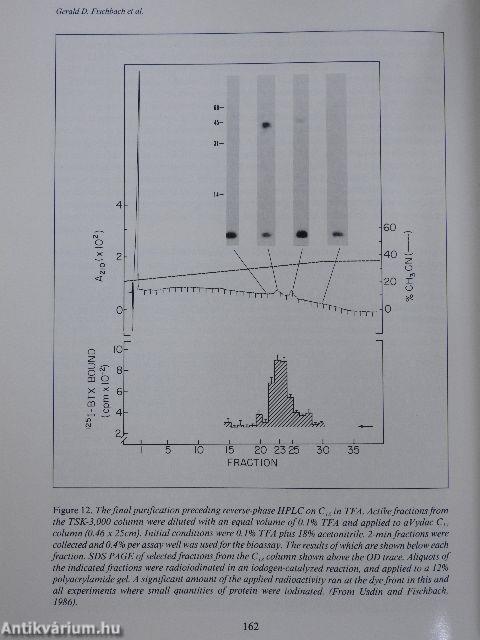 Fidia Research Foundation Neuroscience Award Lectures 1986