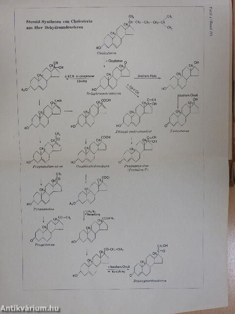 Entwicklung und Chemie der Heilmittel II.