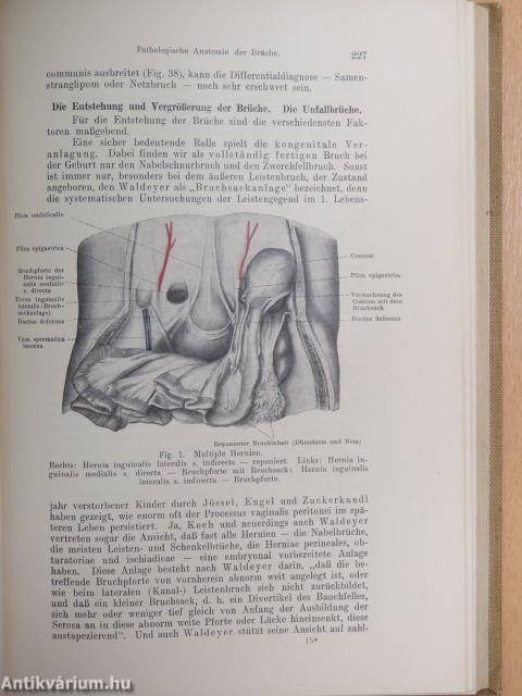 Lehrbuch der Chirurgie II.