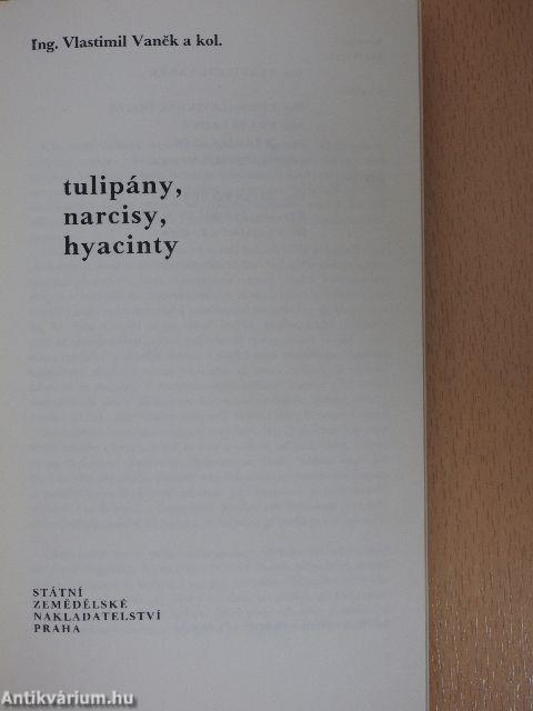 Tulipány, narcisy, hyacinty