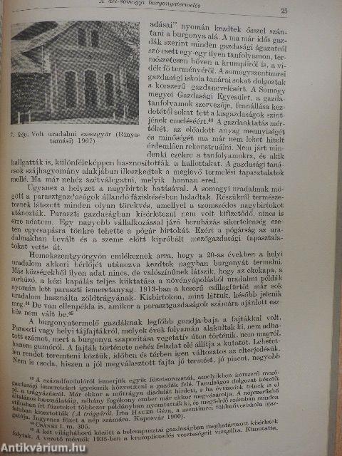 A dél-somogyi burgonyatermelés. Adatok a parasztgazdaságok belterjesedésének vizsgálatához