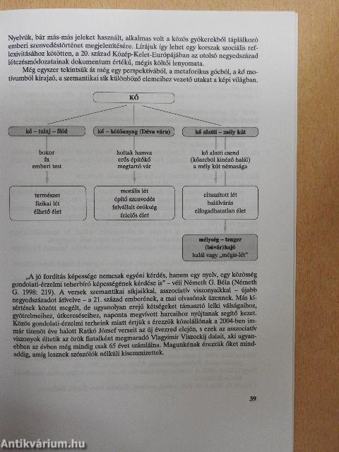 Alakzatok és trópusok a műfordításban