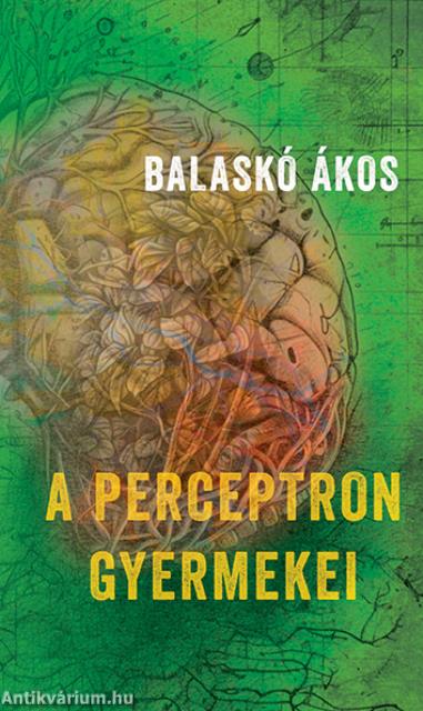 A perceptron gyermekei