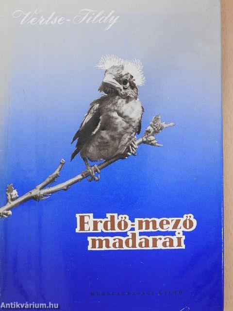 Erdő-mező madarai