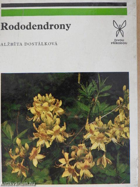 Rododendrony