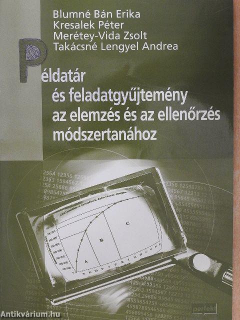 Példatár és feladatgyűjtemény az elemzés és az ellenőrzés módszertanához