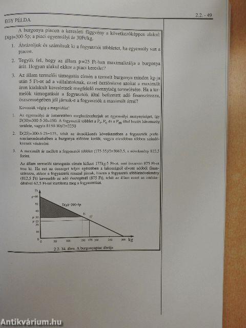 Bevezetés a közgazdaságtanba I.