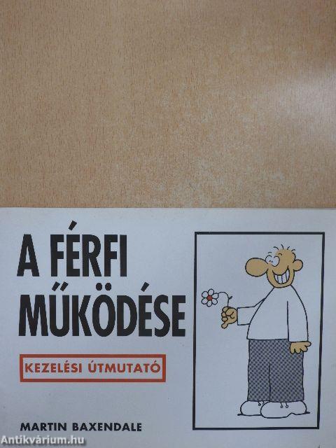 A férfi működése