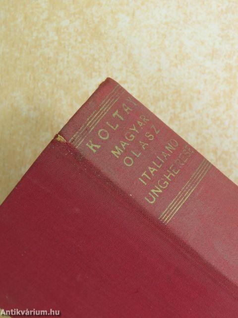 Magyar-olasz szótár/olasz-magyar szótár