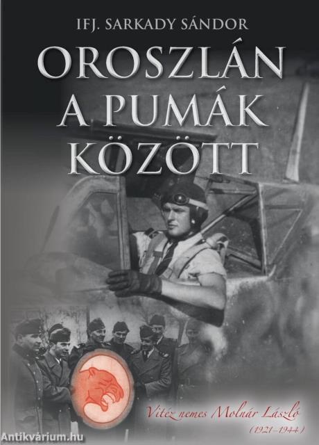 Oroszlán a Pumák között