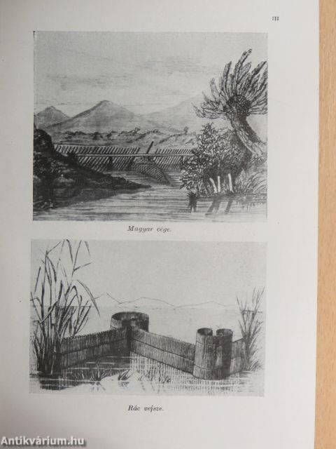 Barátunk és ellenségünk az állat