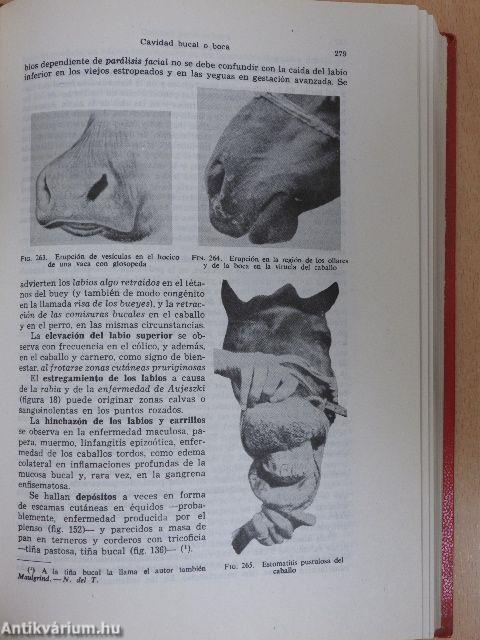 Tratado de diagnóstico clínico de las enfermedades internas de los animales domésticos