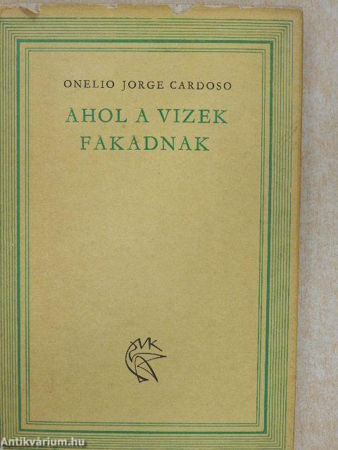 Ahol a vizek fakadnak