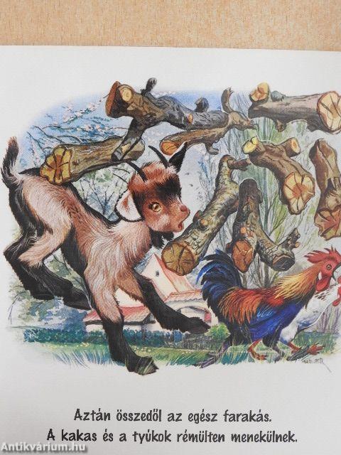 Bibi, a kis kecskegida