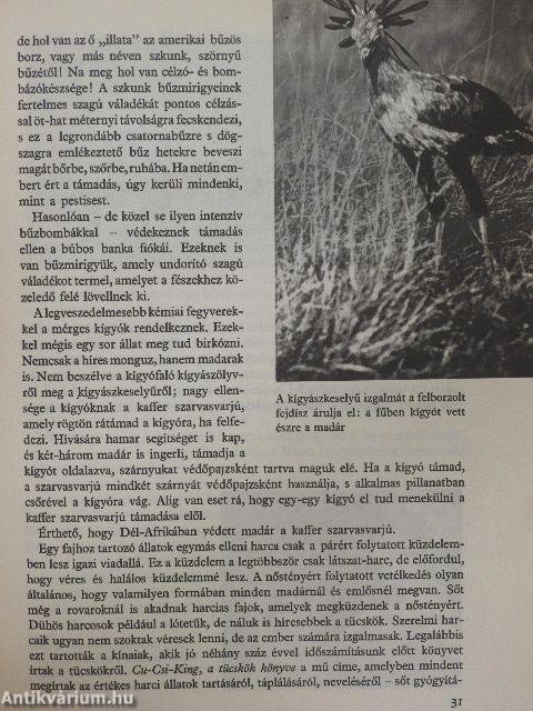 Az állatok nagy képeskönyve