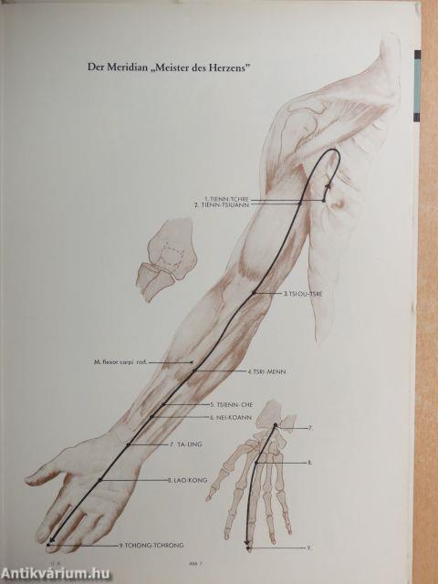 Die Akupunktur II.