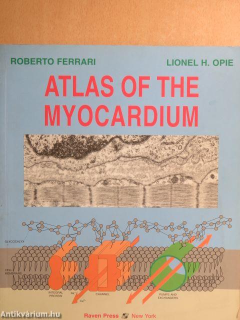 Atlas of the Myocardium