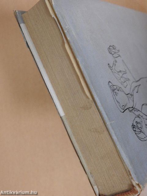 Garabonciás/Bige Jóska házassága