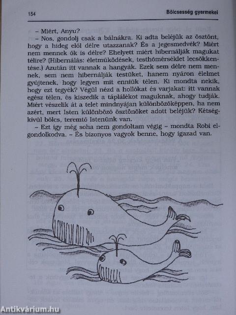 Bölcsesség gyermekei