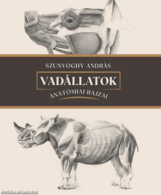 Vadállatok anatómiai rajzai