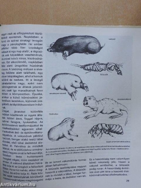 Az állatvilág építőmesterei