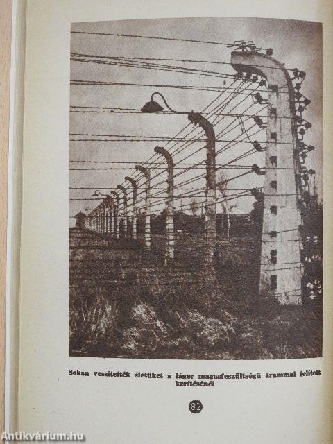 Gól a halál kapujában