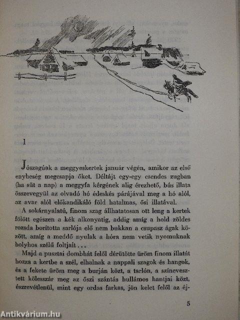 Új barázdát szánt az eke