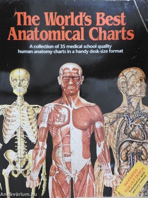 The World's Best Anatomical Charts