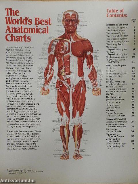 The World's Best Anatomical Charts