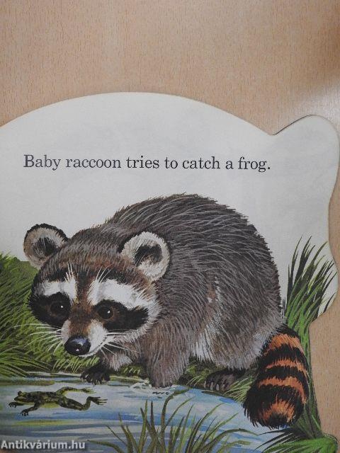 The Baby Animal Book