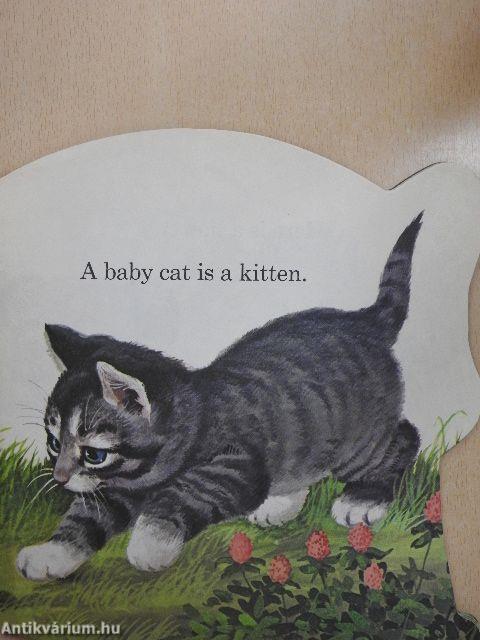 The Baby Animal Book