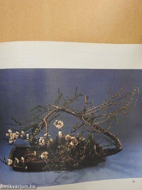 Delikat-international