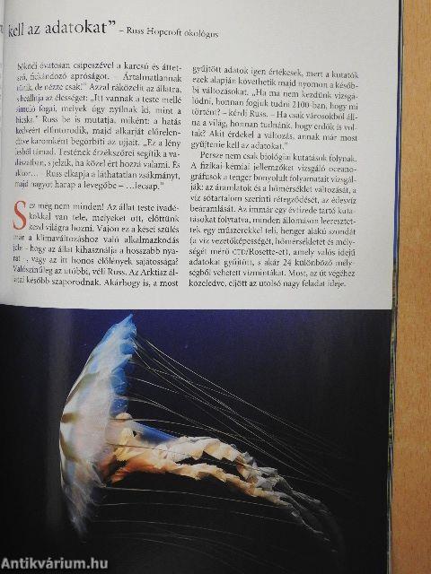 National Geographic Magyarország 2004. (nem teljes évfolyam)