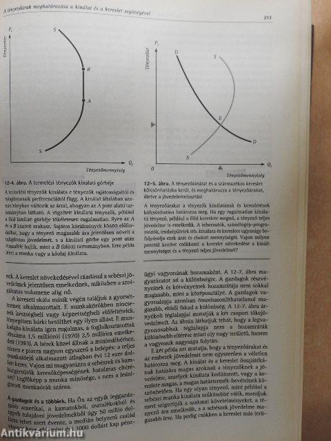 Közgazdaságtan