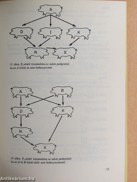Biometriai és populációgenetikai számítások az állattenyésztésben