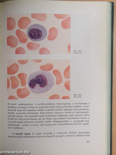 Az emberi test 1-2.