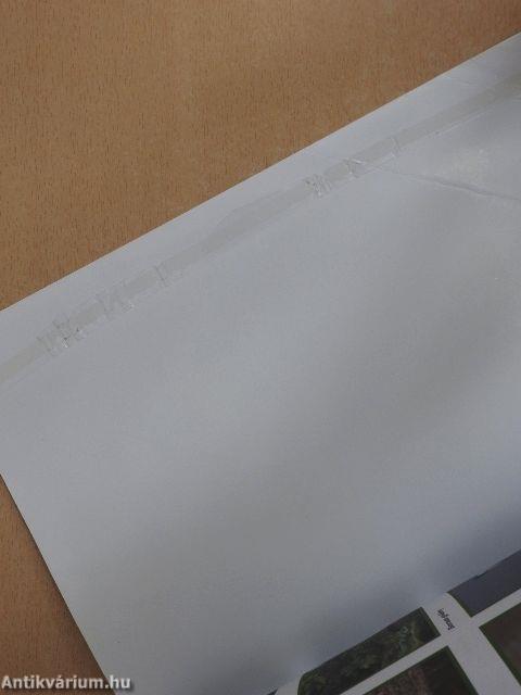 Természetismeret 6.