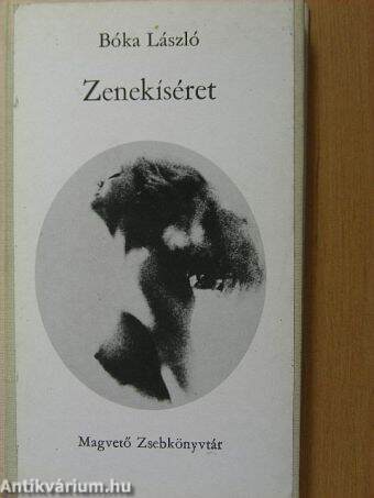 Zenekíséret