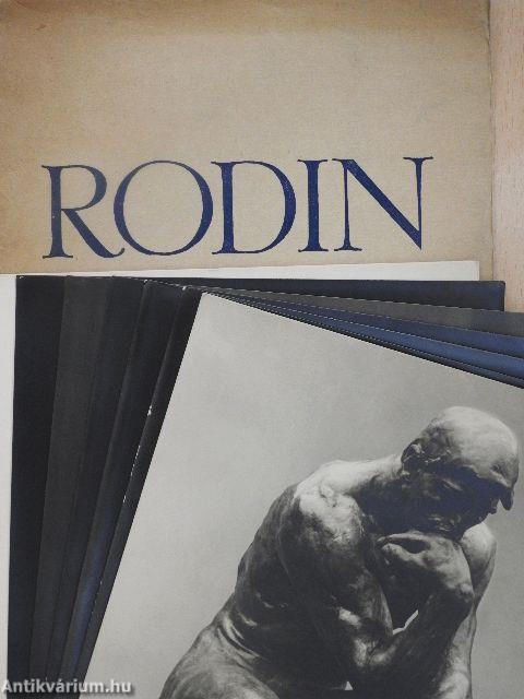 Rodin