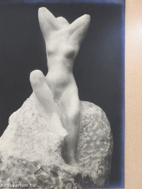 Rodin