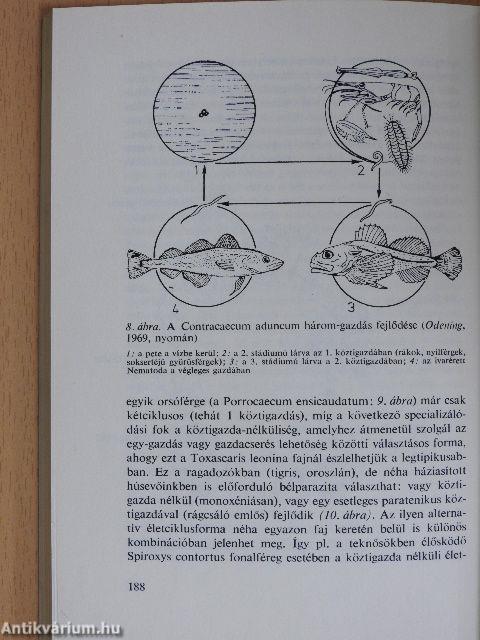 A biológia aktuális problémái 14.