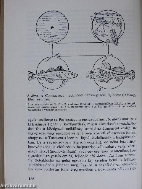 A biológia aktuális problémái 14.