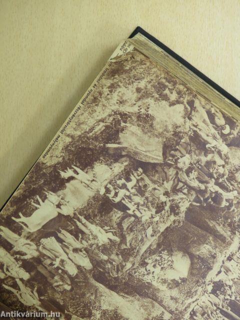 Pesti Napló Képes Műmelléklet 1938. (nem teljes évfolyam)