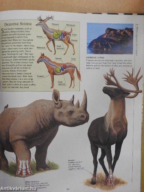 Mammals