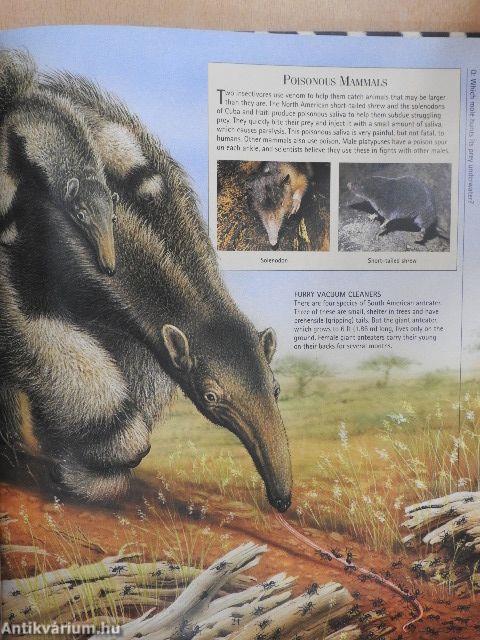 Mammals