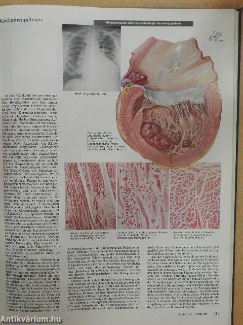 Farbatlanten der Medizin 1